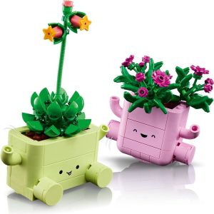 LEGO Botanicals Rocking Plants 11506 Detaylı İnceleme